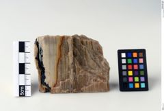 Foto von Holzopal (NHMW-MIN-Ag842)